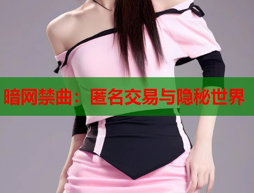 暗网禁曲：匿名交易与隐秘世界