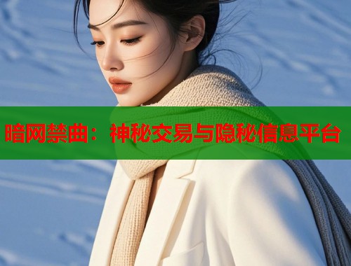 暗网禁曲：神秘交易与隐秘信息平台  第1张