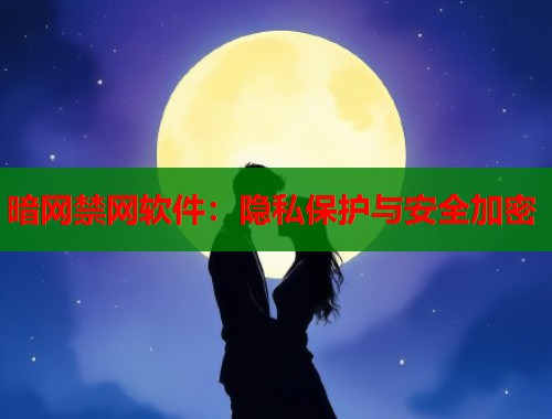 暗网禁网软件:隐私保护与安全加密 第1张 暗网禁网软件:隐私保护与安全加密 第1张
