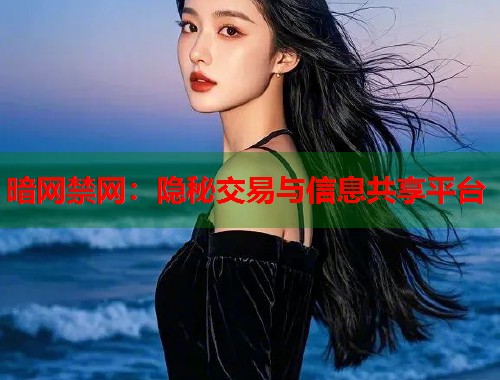 暗网禁网:隐秘交易与信息共享平台 第1张 暗网禁网:隐秘交易与信息共享平台 第1张