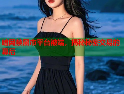 暗网禁黑市平台被端，揭秘秘密交易的幕后