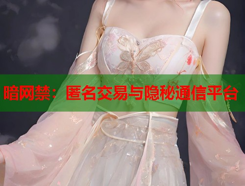 暗网禁:匿名交易与隐秘通信平台 第1张 暗网禁:匿名交易与隐秘通信平台 第1张