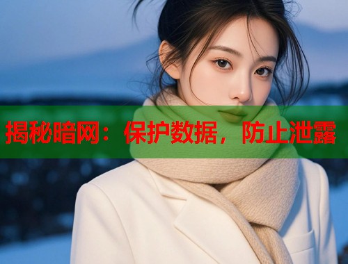 揭秘暗网:保护数据,防止泄露 第1张 揭秘暗网:保护数据,防止泄露 第1张