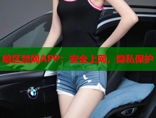 暗区禁网APP：安全上网，隐私保护