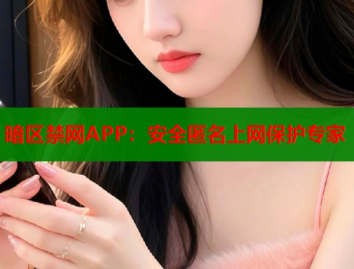 暗区禁网APP：安全匿名上网保护专家
