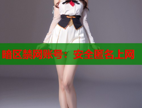 暗区禁网账号:安全匿名上网 第1张 暗区禁网账号:安全匿名上网 第1张