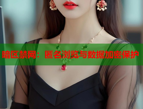 暗区禁网:匿名浏览与数据加密保护 第1张 暗区禁网:匿名浏览与数据加密保护 第1张