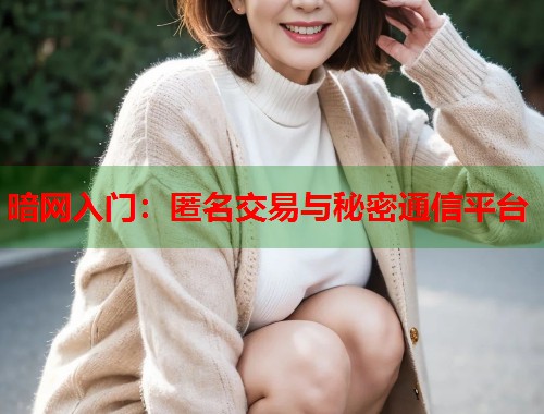 暗网入门：匿名交易与秘密通信平台