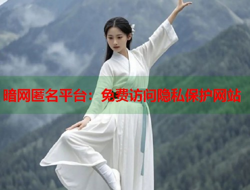 暗网匿名平台：免费访问隐私保护网站  第1张