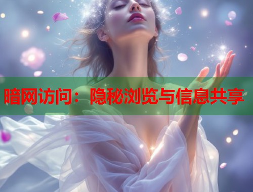 暗网访问：隐秘浏览与信息共享  第1张