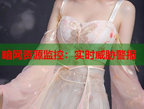 暗网资源监控：实时威胁警报
