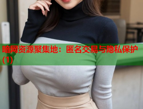 暗网资源聚集地：匿名交易与隐私保护(1)