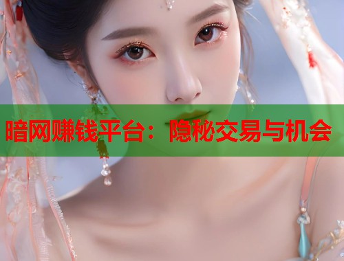 暗网赚钱平台：隐秘交易与机会