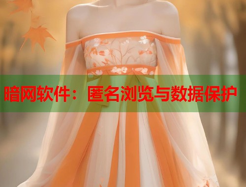 暗网软件：匿名浏览与数据保护