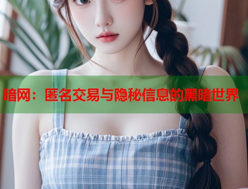 暗网：匿名交易与隐秘信息的黑暗世界  第1张