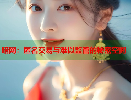 暗网:匿名交易与难以监管的秘密空间 第1张 暗网:匿名交易与难以监管的秘密空间 第1张