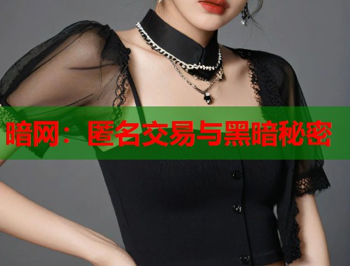 暗网:匿名交易与黑暗秘密 第2张 暗网:匿名交易与黑暗秘密 第2张