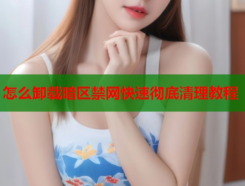 怎么卸载暗区禁网快速彻底清理教程  第1张