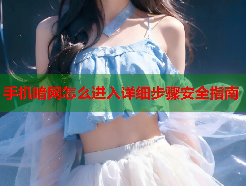 手机暗网怎么进入详细步骤安全指南