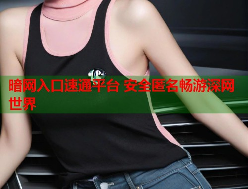 暗网入口速通平台 安全匿名畅游深网世界