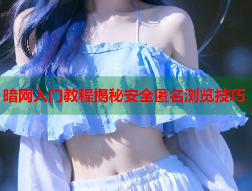 暗网入门教程揭秘安全匿名浏览技巧  第2张