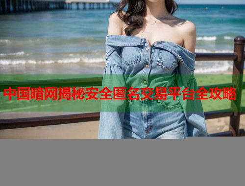 中国暗网揭秘安全匿名交易平台全攻略