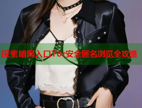探索暗网入口Tor安全匿名浏览全攻略 第1张 探索暗网入口Tor安全匿名浏览全攻略 第1张