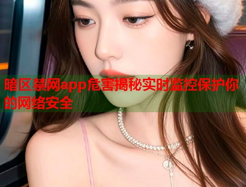 暗区禁网app危害揭秘实时监控保护你的网络安全