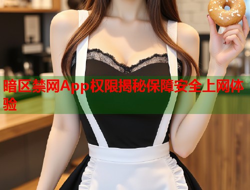 暗区禁网App权限揭秘保障安全上网体验 第1张 暗区禁网App权限揭秘保障安全上网体验 第1张