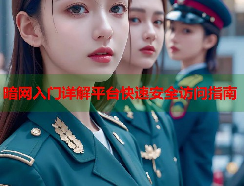 暗网入门详解平台快速安全访问指南 第1张 暗网入门详解平台快速安全访问指南 第1张