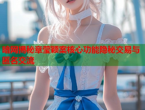 暗网揭秘章莹颖案核心功能隐秘交易与匿名交流