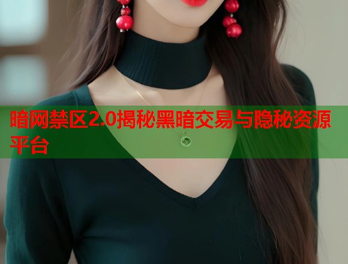 暗网禁区2.0揭秘黑暗交易与隐秘资源平台