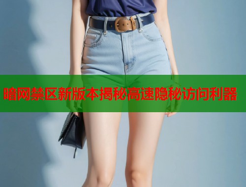 暗网禁区新版本揭秘高速隐秘访问利器