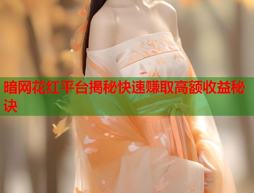 暗网花红平台揭秘快速赚取高额收益秘诀