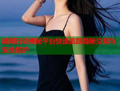 暗网行动揭秘平台快速追踪隐秘交易与安全防护