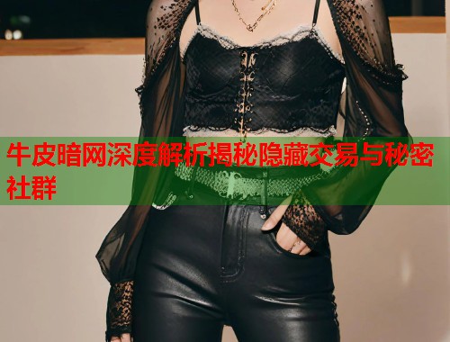 牛皮暗网深度解析揭秘隐藏交易与秘密社群 第2张 牛皮暗网深度解析揭秘隐藏交易与秘密社群 第2张