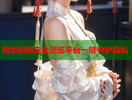 网禁暗网安全浏览平台一键守护隐私