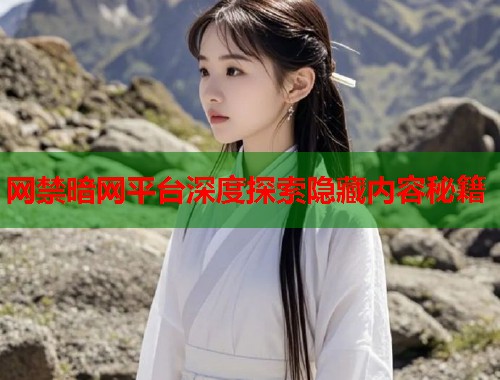 网禁暗网平台深度探索隐藏内容秘籍 第1张 网禁暗网平台深度探索隐藏内容秘籍 第1张