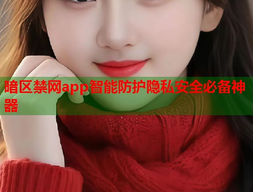 暗区禁网app智能防护隐私安全必备神器