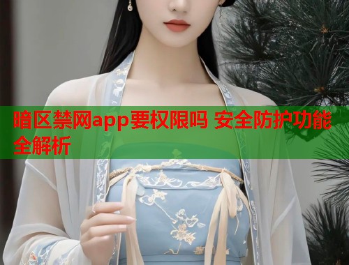 暗区禁网app要权限吗 安全防护功能全解析