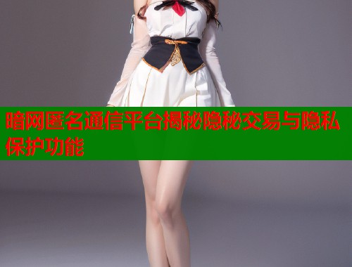 暗网匿名通信平台揭秘隐秘交易与隐私保护功能