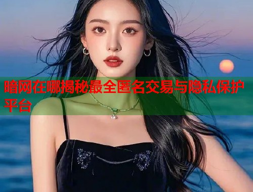 暗网在哪揭秘最全匿名交易与隐私保护平台