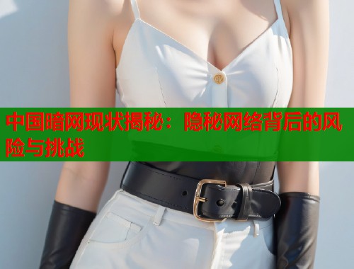 中国暗网现状揭秘:隐秘网络背后的风险与挑战 第1张 中国暗网现状揭秘:隐秘网络背后的风险与挑战 第1张