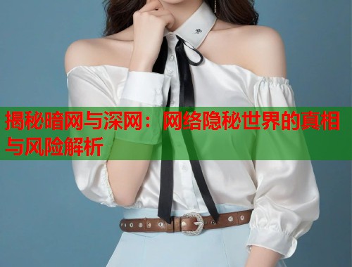 揭秘暗网与深网:网络隐秘世界的真相与风险解析 第2张 揭秘暗网与深网:网络隐秘世界的真相与风险解析 第2张