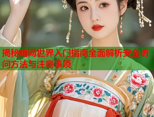 揭秘暗网世界入门指南全面解析安全访问方法与注意事项