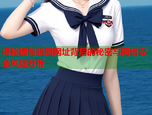 揭秘缅甸暗网网址背后的秘密与网络安全风险分析 第2张 揭秘缅甸暗网网址背后的秘密与网络安全风险分析 第2张