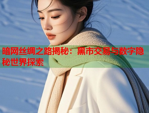 暗网丝绸之路揭秘:黑市交易与数字隐秘世界探索 第1张 暗网丝绸之路揭秘:黑市交易与数字隐秘世界探索 第1张