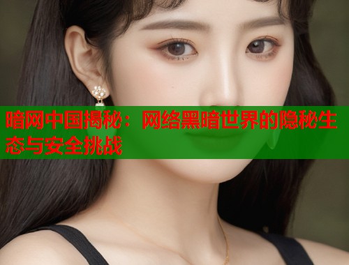 暗网中国揭秘：网络黑暗世界的隐秘生态与安全挑战  第2张