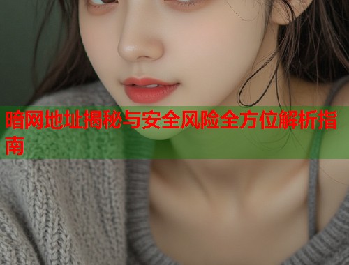 暗网地址揭秘与安全风险全方位解析指南