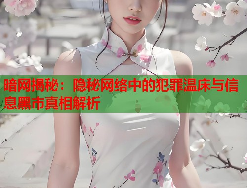 暗网揭秘:隐秘网络中的犯罪温床与信息黑市真相解析 第2张 暗网揭秘:隐秘网络中的犯罪温床与信息黑市真相解析 第2张